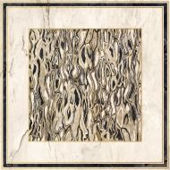 GHEPARD6 120LP The Room 120x120