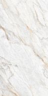 GI8008-B Керамогранит Lazio Pear Matt Glossy Ink Punch 60x120