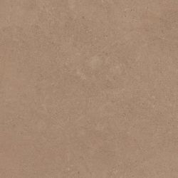 GO01 Gobi Beige неполированный 60x60