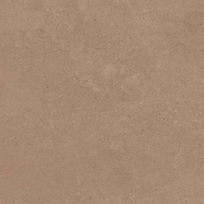 GO01 Gobi Beige неполированный 60x60
