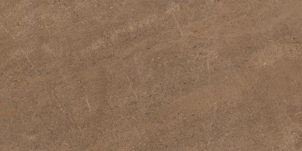 GO02 Gobi Dark Beige неполированный 60x120