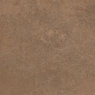 GO02 Gobi Dark Beige неполированный 60x60