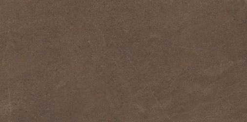 GO03 Gobi Brown Grey неполированный 60x120
