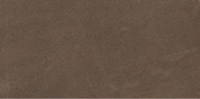 GO03 Gobi Brown Grey неполированный 60x120
