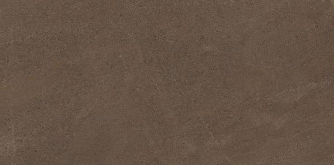 GO03 Gobi Brown Grey неполированный 60x120
