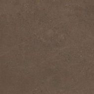 GO03 Gobi Brown Grey неполированный 60x60
