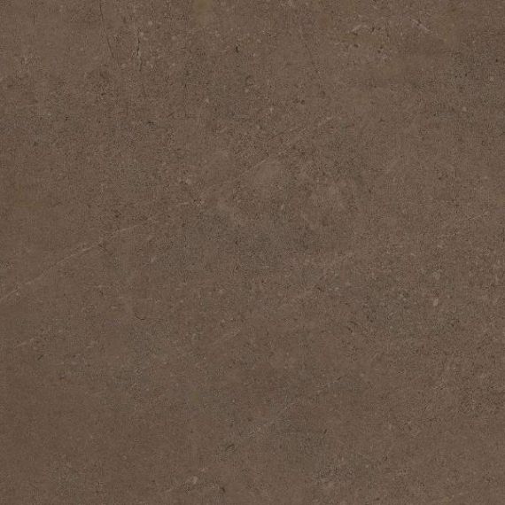 GO03 Gobi Brown Grey неполированный 60x60
