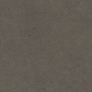 GO11 Gobi Grey неполированный 30x30x8