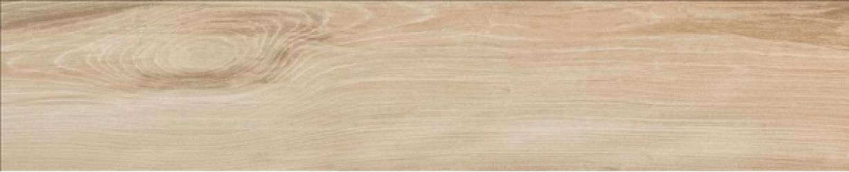 GOA ROBLE Ret. 23x120