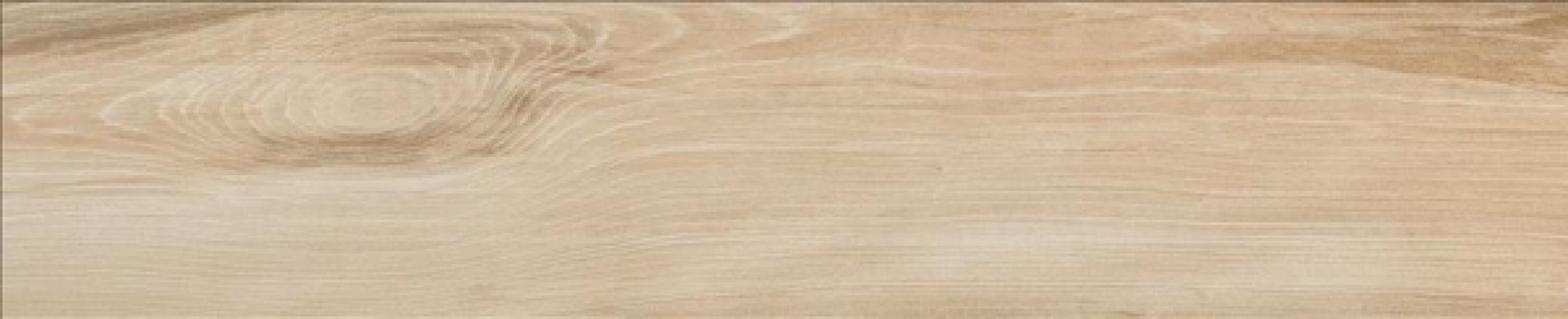GOA ROBLE Ret. 23x120