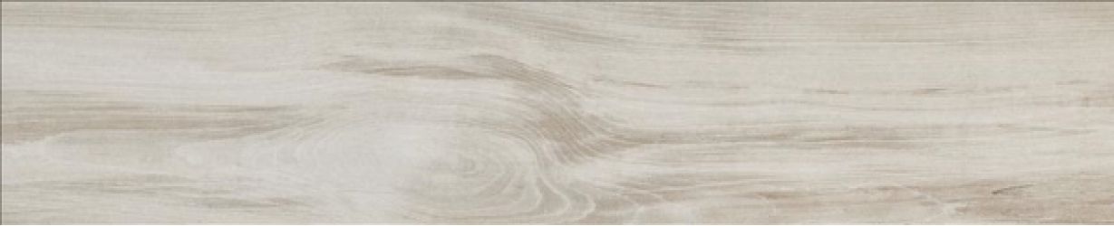 GOA TAUPE Ret. 23x120