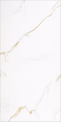 GOLDEN CARRARA 60x120