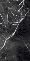 GR203 Fedele Negro High glossy 600x1200
