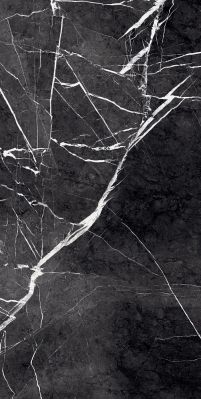 GR203 Fedele Negro High glossy 600x1200