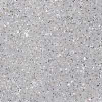 GRS02-08 Petra Debris 60x60