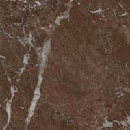 GRS05-26 Керамогранит Simbel Tobaco 60x60