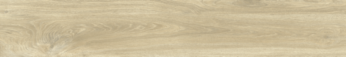 GRS11-17S Ajanta Ash 120x20