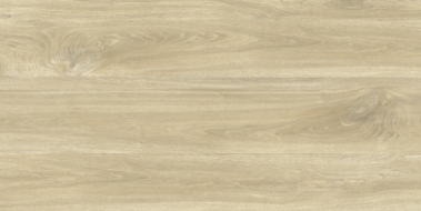 GRS11-17S Ajanta Ash 120x60