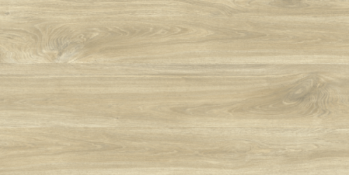 GRS11-17S Ajanta Ash 120x60