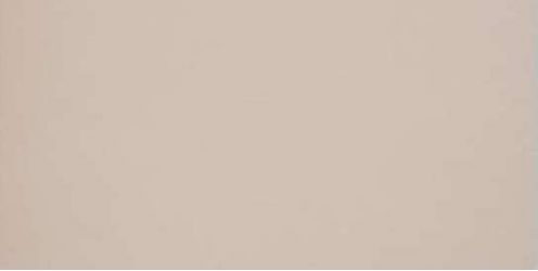 GT028M RAL1019 Капучино матовый 60x120