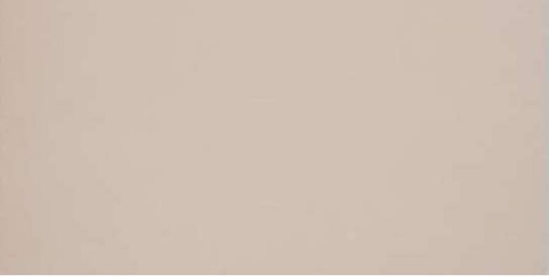 GT028M RAL1019 Капучино матовый 60x120