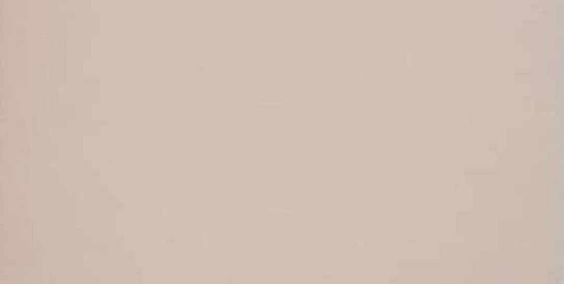 GT028M RAL1019 Капучино матовый 60x120
