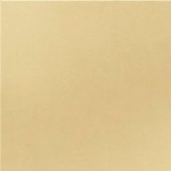 GT065M RAL1001 Песочный матовый 60x60