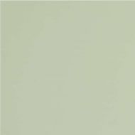 GT079M RAL6021 Зеленый чай матовый 60x60