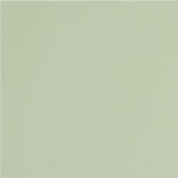 GT079M RAL6021 Зеленый чай матовый 60x60