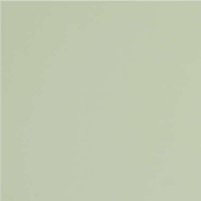GT079M RAL6021 Зеленый чай матовый 60x60