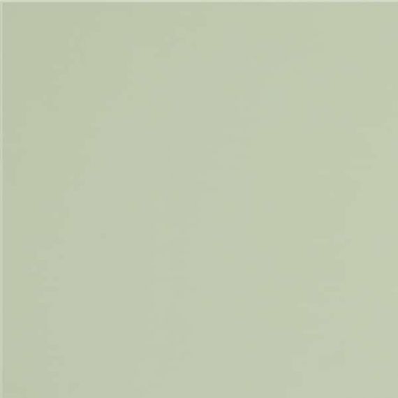 GT079M RAL6021 Зеленый чай матовый 60x60