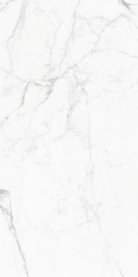 GT120604803PR Керамогранит Elegant Statuario Белый 60x120
