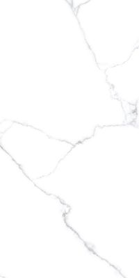 GT120607603PR Керамогранит Romantic Белый Slim 60x120