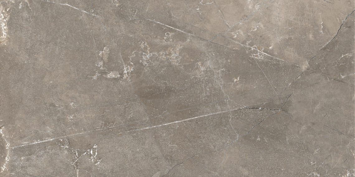GT122VG Плитка Siluet Коричневый 50x25