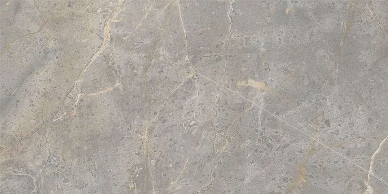 GT198VG Керамогранит Spring Серый 30x60