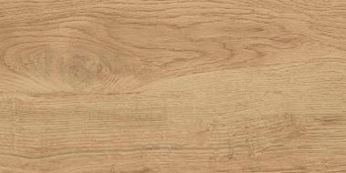 GT220VG Керамогранит Florida Бежевый 30x60