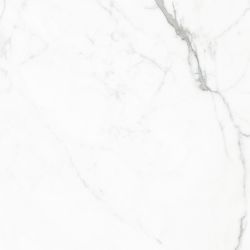 GT60604803PR Керамогранит Elegant Statuario Белый 60x60