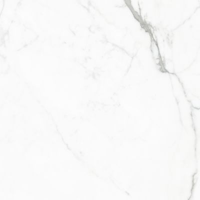 GT60604803PR Керамогранит Elegant Statuario Белый 60x60