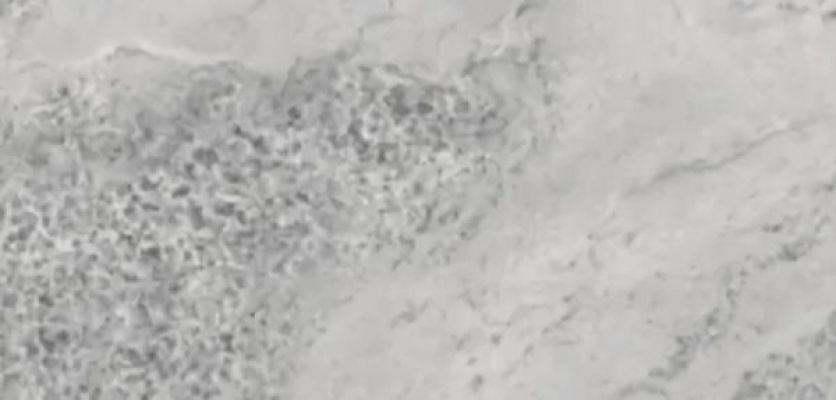 Gem Light Gray 80x160