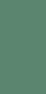 Genesis Green Matt 30x60