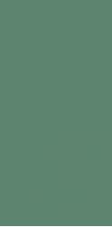 Genesis Green Matt 30x60