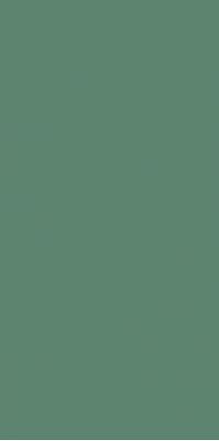 Genesis Green Matt 30x60
