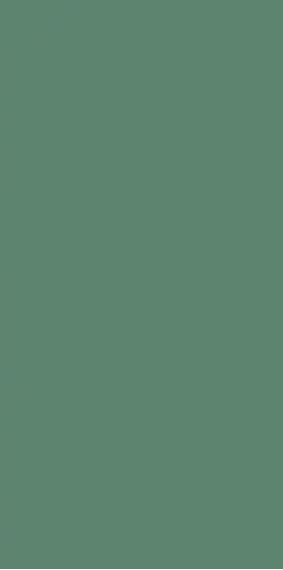 Genesis Green Matt 30x60