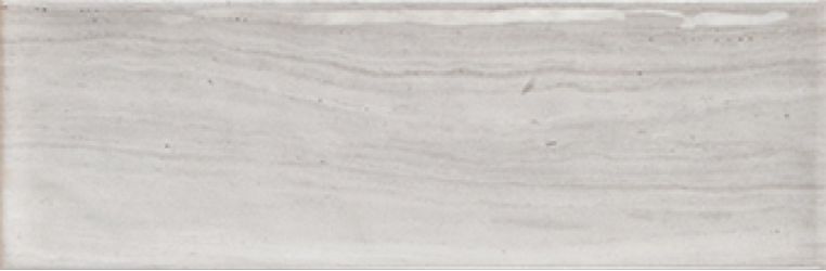 Genesis Gris Brillo 10x30