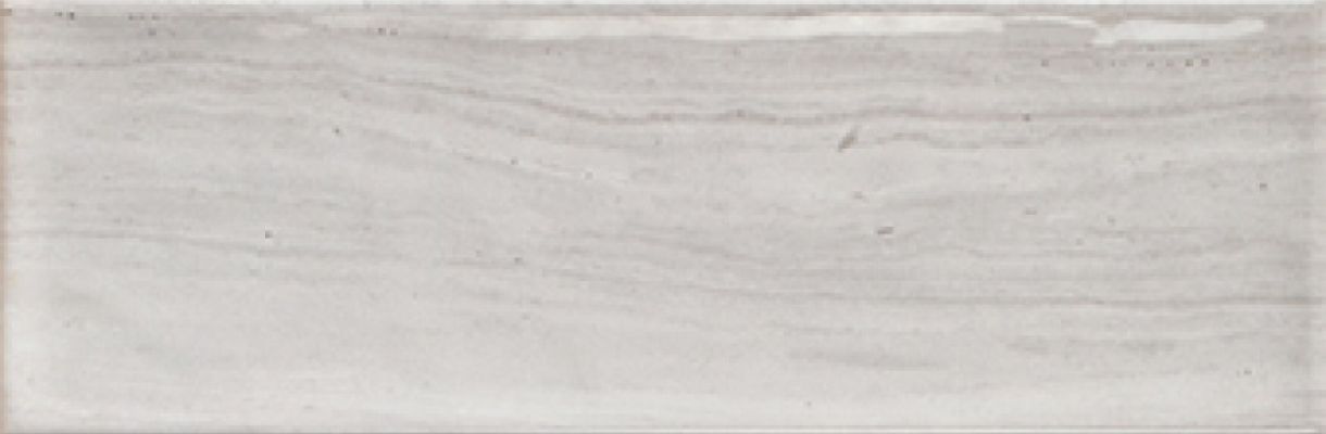 Genesis Gris Brillo 10x30