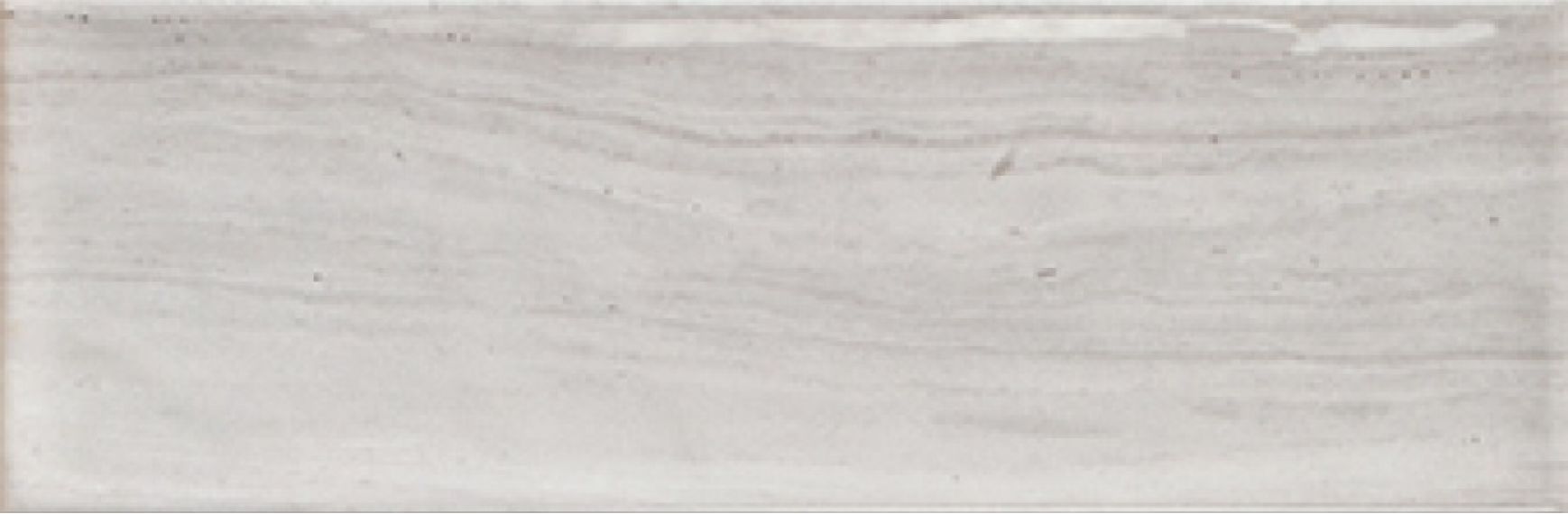 Genesis Gris Brillo 10x30