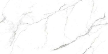 Glorious White Glossy 60x120