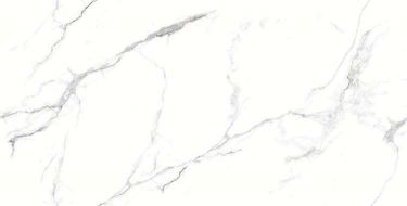 Glorious White Sugar 60x120