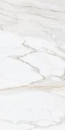 Gold Calacatta 60*120