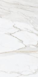 Gold Calacatta 60*120